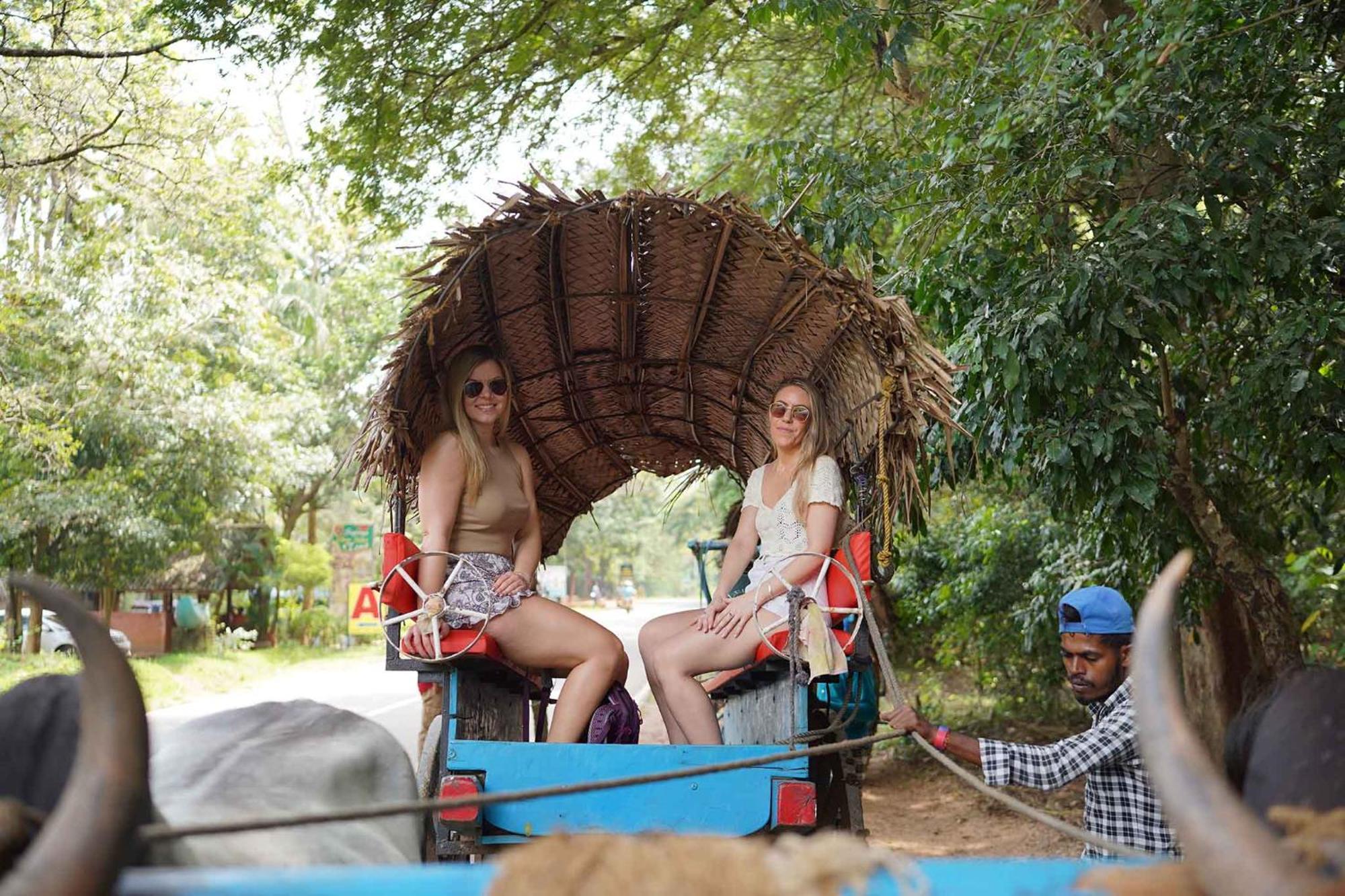 Sigiriya Kingdom Resort Dambulla Eksteriør billede
